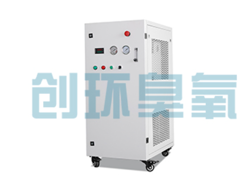 霸州石斑鱼养殖水质调控完整指南：臭氧发生器配置与操作步骤