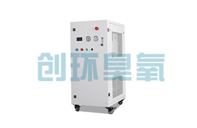 霸州比传统换水更高效？臭氧发生器在石斑鱼养殖中的水质净化原理解析
